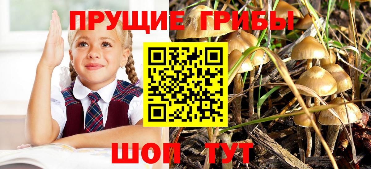 Галлюциногенные грибы ЛСД Богданович