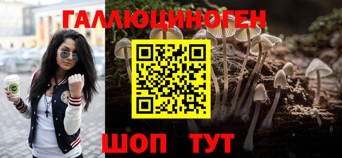 Богданович  Псилоцибиновые грибы Magic Shrooms  Псилоцибиновые грибы прущие грибы  Вход с VPN 